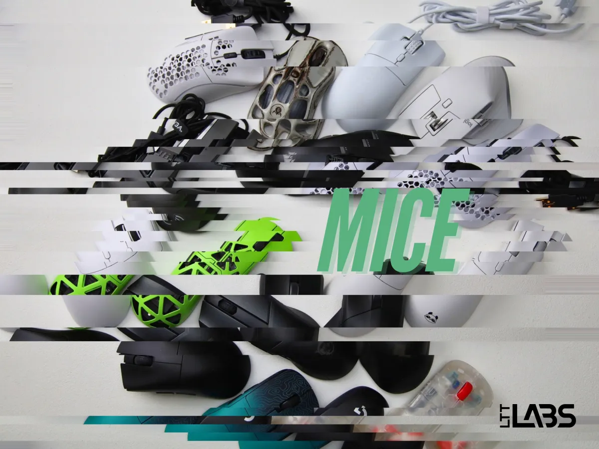 How Labs Conducts Mouse Testing