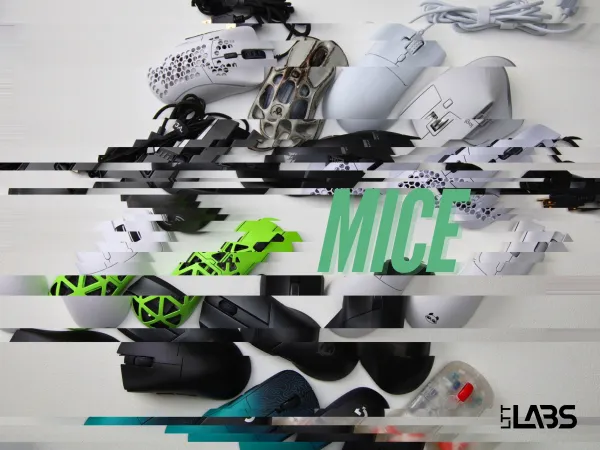 How Labs Conducts Mouse Testing